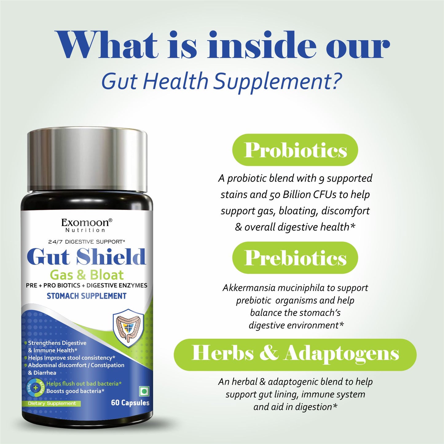 Exomoon Gut Shield